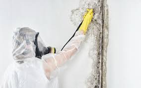 Forensic Mold Investigation in Odessa, MO